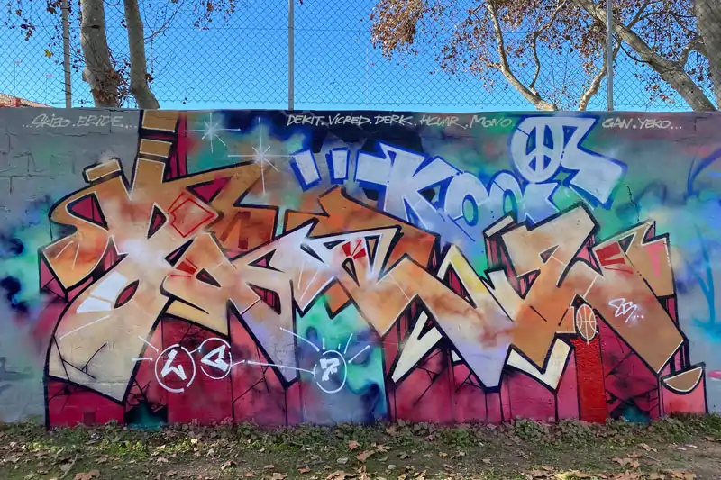 Descripción de la Imagen 8