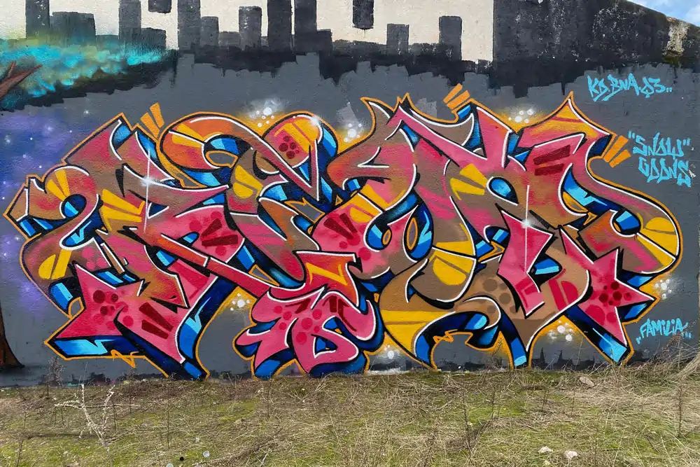 Descripción de la Imagen 1