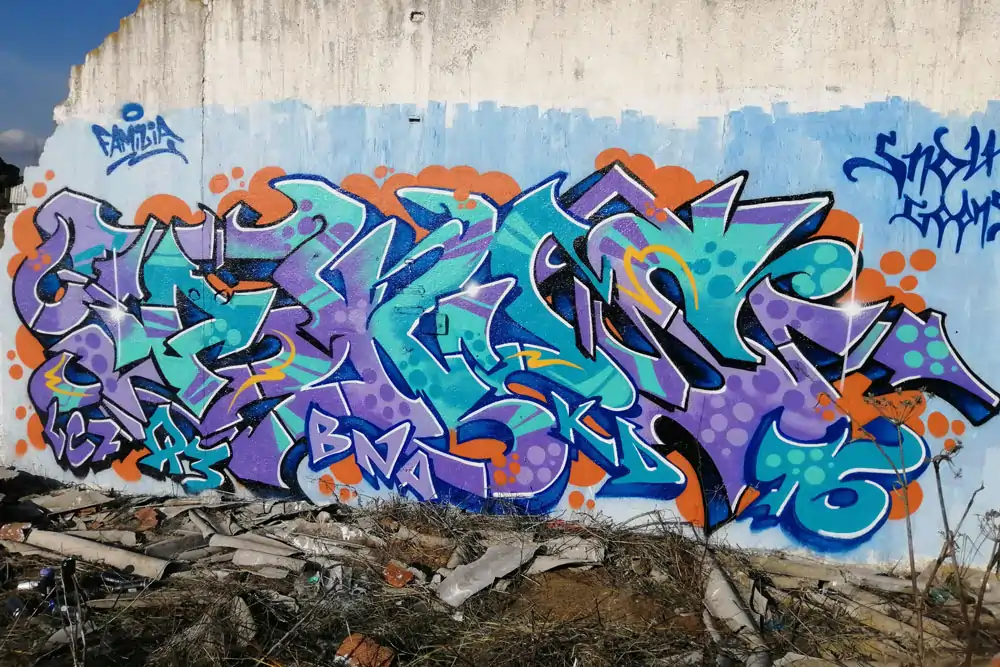 Descripción de la Imagen 2