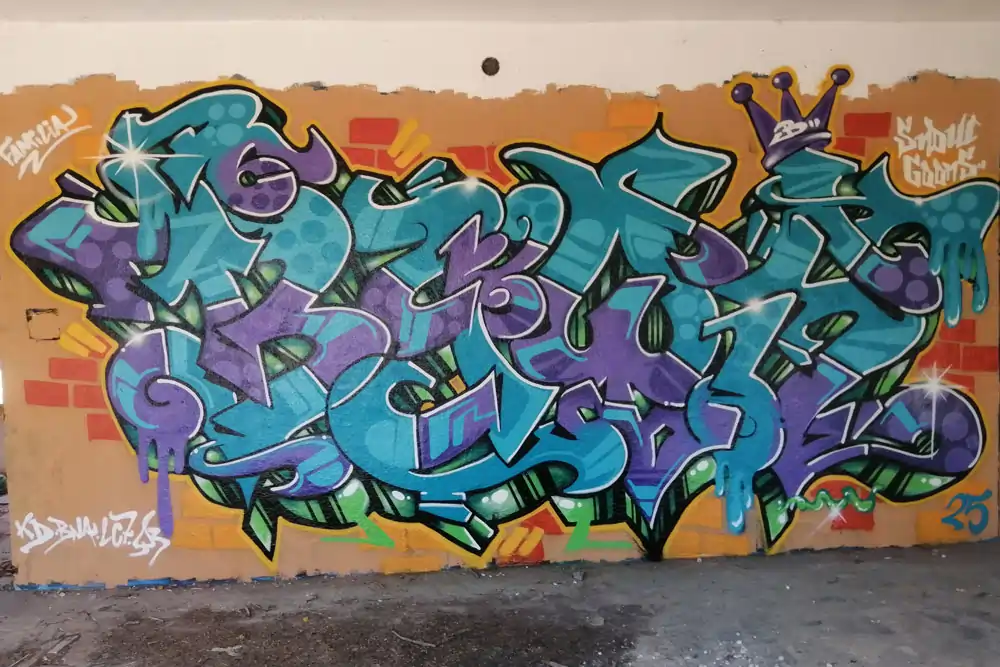 Descripción de la Imagen 10