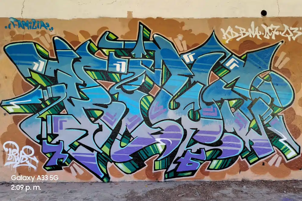 Descripción de la Imagen 4