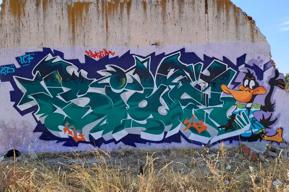 Descripción de la Imagen 5