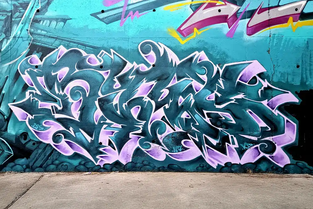 Descripción de la Imagen 6