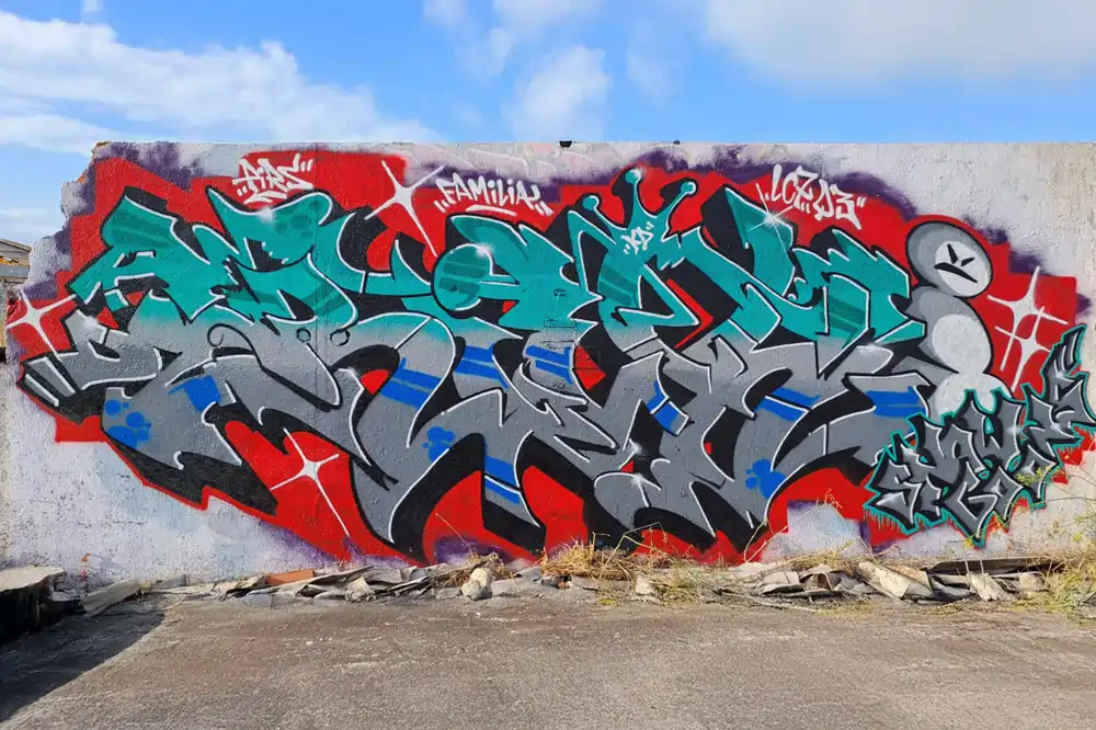 Descripción de la Imagen 8