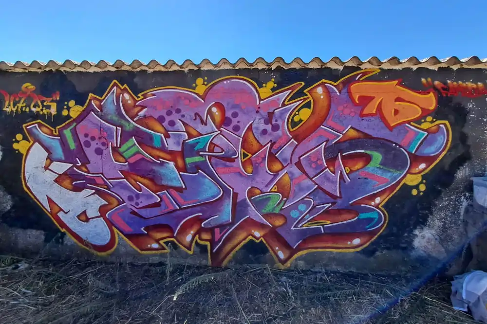 Descripción de la Imagen 9