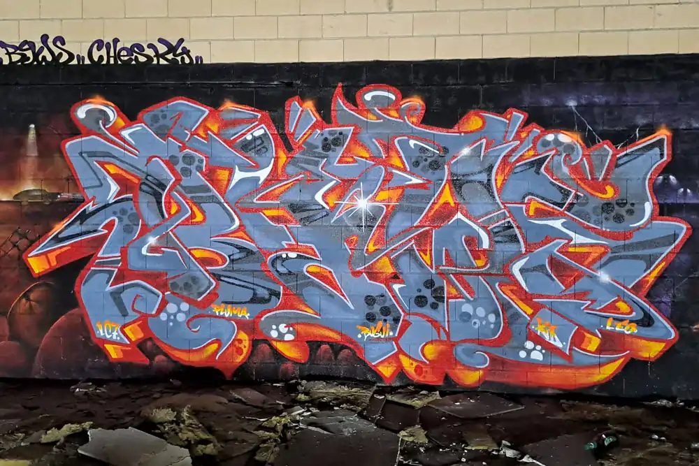 Descripción de la Imagen 10