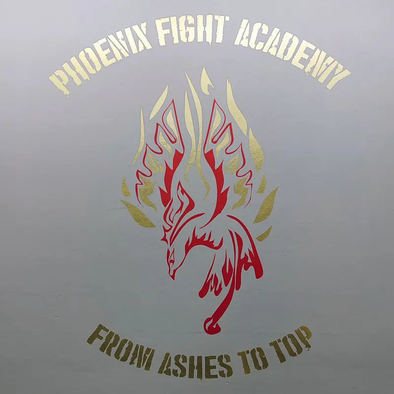 Commission to paint the logo of Phoenix Fight Academy in Staufenberg, Germany