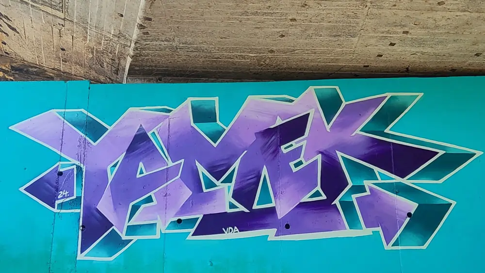 Descripción de la Imagen 10