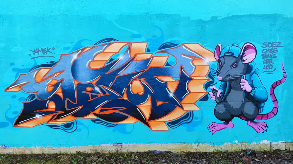 Descripción de la Imagen 2