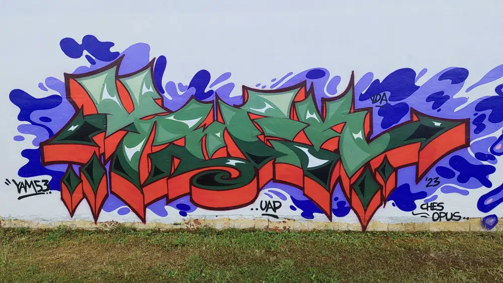 Descripción de la Imagen 5