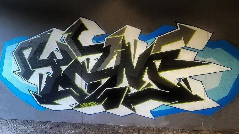 Descripción de la Imagen 6