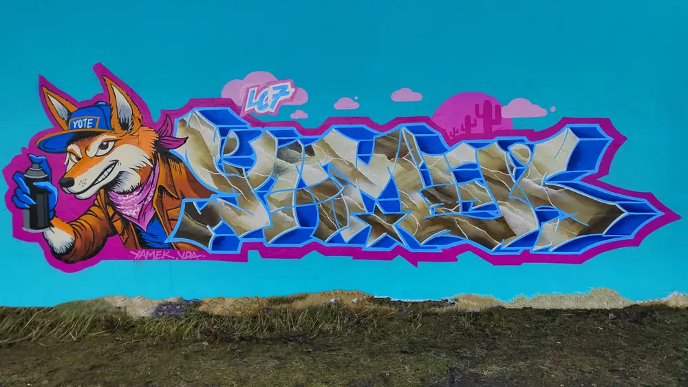 Descripción de la Imagen 7