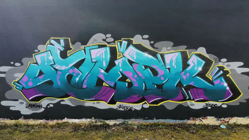 Descripción de la Imagen 8