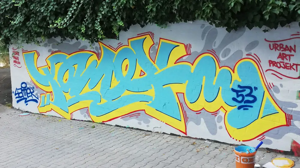 Descripción de la Imagen 9